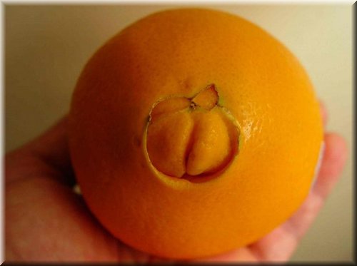 orange Navel (1).jpg