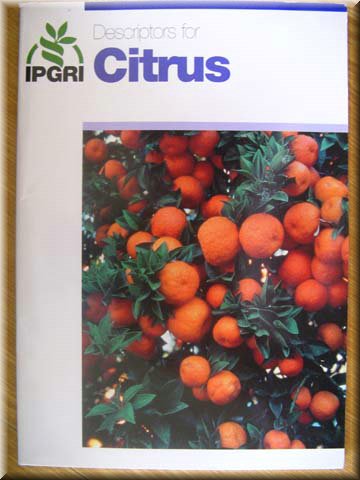 Descriptors for Citrus.JPG